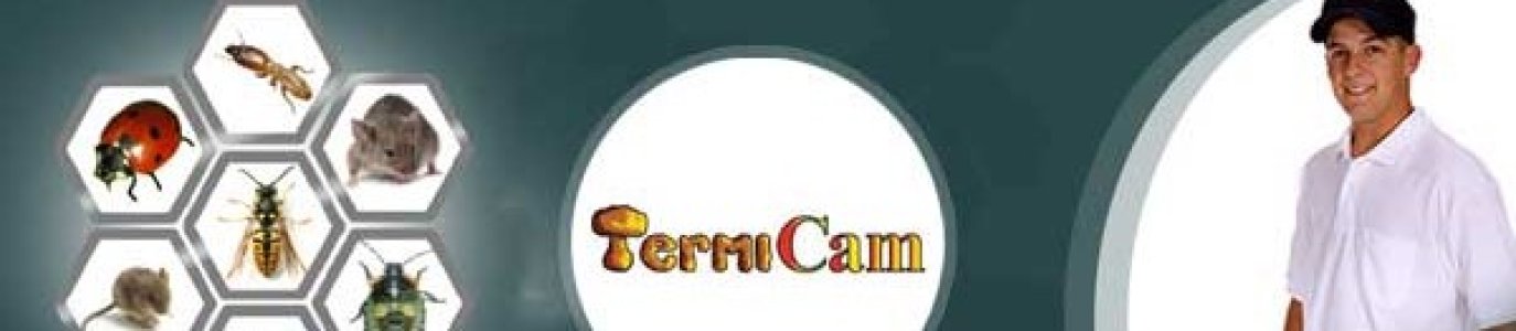 termicam banner1